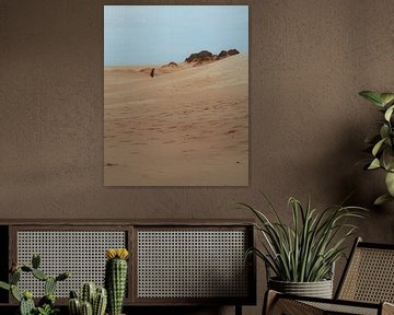 Rabjerg Mile VII van de Utregter Fotografie