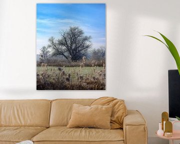 Winterlandschap met een vrijstaande boom van ManfredFotos