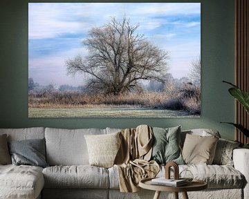Winterlandschap met een vrijstaande boom van ManfredFotos