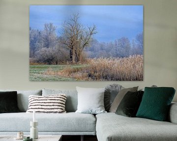 Winterlandschap met een vrijstaande boom van ManfredFotos