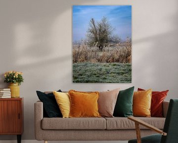 Winterlandschap met een vrijstaande boom van ManfredFotos