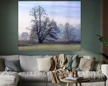 Winterlandschap met een vrijstaande boom van ManfredFotos