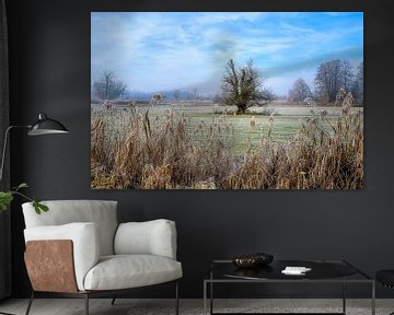 Winterlandschap met een vrijstaande boom van ManfredFotos