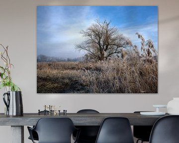 Winterlandschap met een vrijstaande boom van ManfredFotos