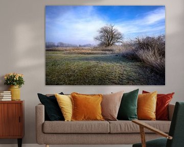 Winterlandschap met een vrijstaande boom van ManfredFotos
