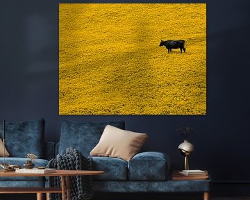 Black Bull in a Yellow Field of Flowers by Karina Brouwer