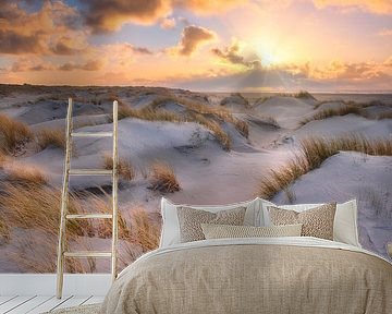Goldene Stunde auf Texel.