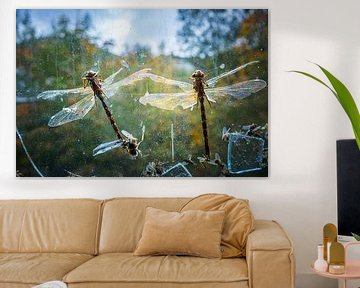 Bevroren in de tijd - Libellen gevangen in verval van InfiniteArtLabs