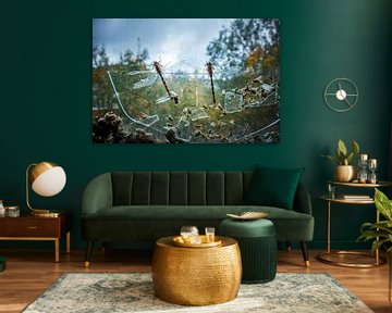 Gevangen in de tijd - libellen en verval achter gebroken glas van InfiniteArtLabs