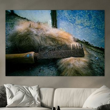 Traces du passé - Peigne rouillé et fourrure oubliée