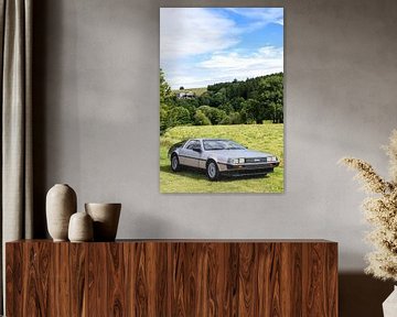 Filmicoon Delorean in natuur, retro car