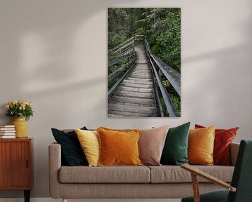A park trail in summer by Claude Laprise