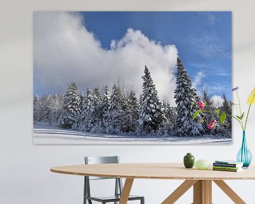 A snowy forest after the storm by Claude Laprise