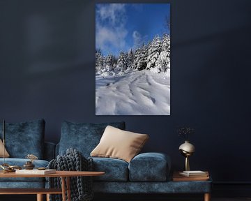A snowy forest after the storm by Claude Laprise
