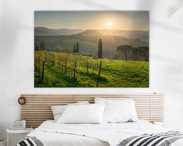 Aperçu de la chambre