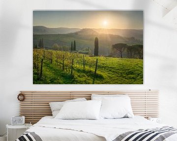 Wijngaarden en Kasteel van Vicchiomaggio, Chianti-streek van Stefano Orazzini