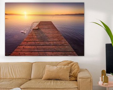 Houten pier aan het Trasimenomeer en een zwaan van Stefano Orazzini
