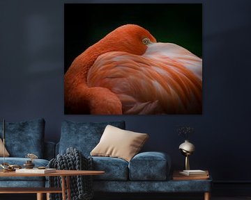 Flamingo  van Eduard van Holland