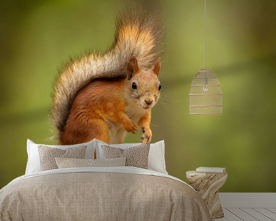Voorbeeld van het werk in een kamer
