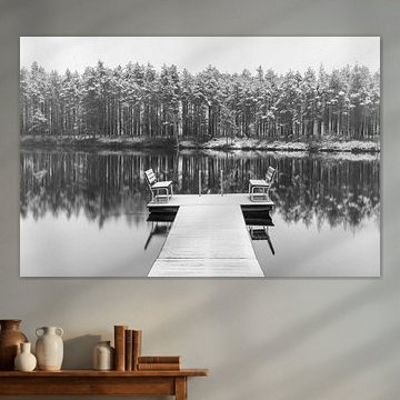 Forêt d'hiver avec un petit lac, Finlande