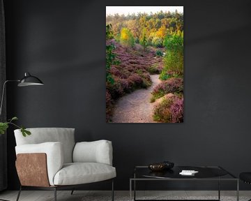 Heidepad | Posbank | veluwezoom | Rheden | Gelderland | Holland | natuurfoto van Rebecca van der Schaft