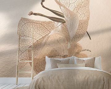 Warm colours: Bougainvillea leaves with seeds by Marjolijn van den Berg