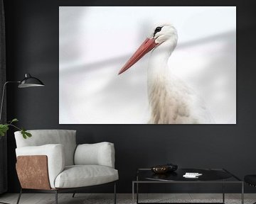 Portrait Stork