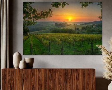 Wijngaarden bij zonsondergang en de abdij van Badia a Passignano van Stefano Orazzini