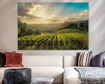 Wijngaarden bij zonsondergang in Maremma van Stefano Orazzini
