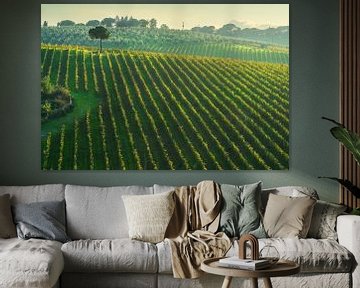 Chianti wijngaarden en een pijnboom in de herfst, Toscane van Stefano Orazzini