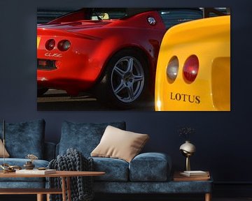 Een variatie op Lotus