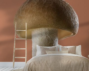 Mocha Mousse Mushroom:  Een portret van een paddenstoel van Marjolijn van den Berg