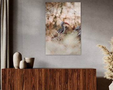 Majestueuze neushoornvogel in het hart van de Afrikaanse savanne van Geke Woudstra