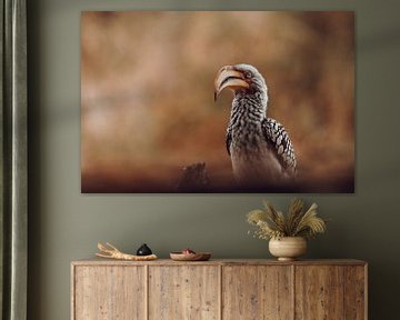 De koninklijke neushoornvogel: Een portret van Afrikaanse elegantie van Geke Woudstra