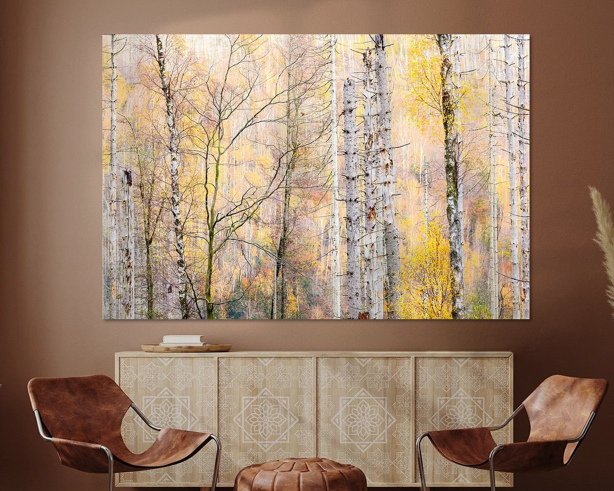 Raumvorschau