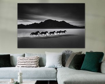 Horses in the play of light and shadow by Skyfall