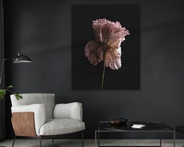 Stilleven roze lisianthus van Adje Photography
