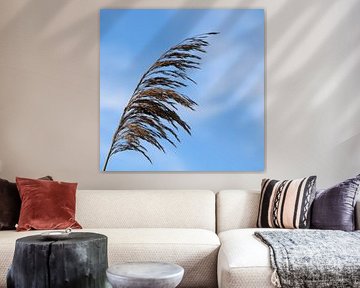 Schilfrohrfahne von Mindert Dusselaar