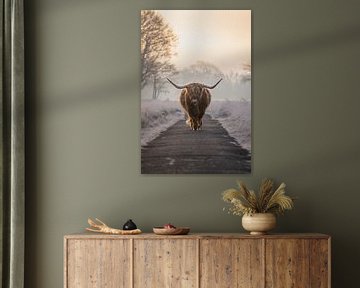 Schotse Hooglander in winters landschap van Simone Kuijpers