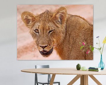 Jonge leeuw - Wilde dieren in Afrika van W. Woyke