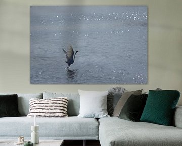 Kraanvogeldans van Frank Briske