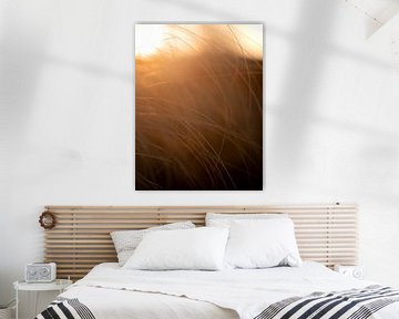 Dancing Light: Sunrise by Grass Palms by bart dirksen