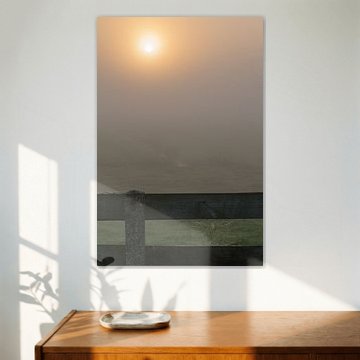 zonsopkomst mist in de polder