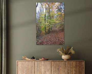 Herbstwald bei Bad Neustadt mit Premiumwanderweg