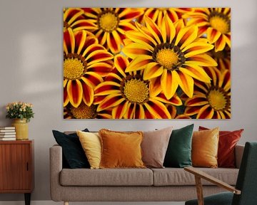 Gerbera bunch-a hundreds flowers in one by Tessa Louwerens