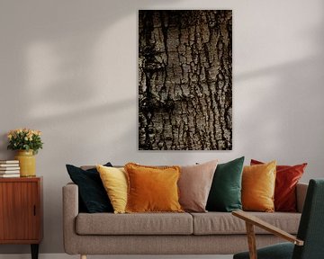 Raw tree trunk by Jolijn Gommans