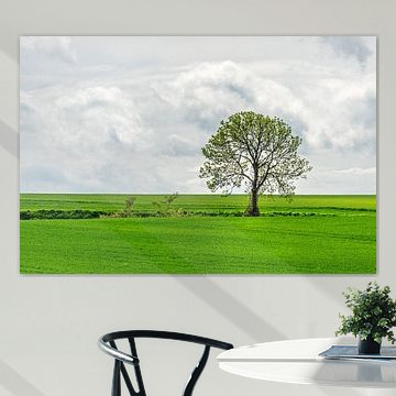 Bloeiende boomgaarden en dorpsleven