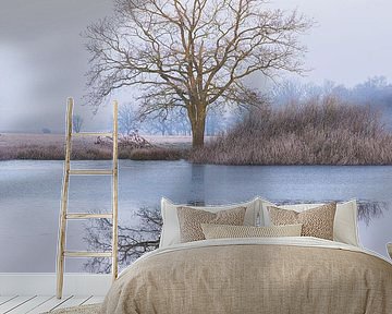 Nature reserve National Park Dwingelderveld (Drenthe) - Netherlands