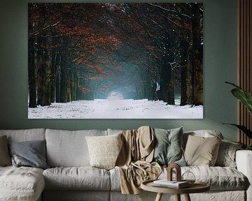 Winter Colors van Martin Podt