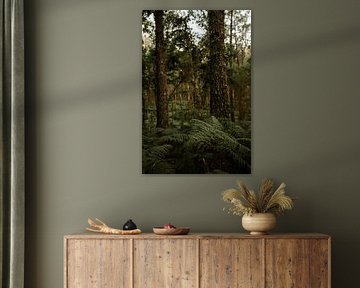 Imagine yourself in the forests of southern France by Lieselot Engelen